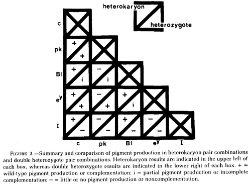 Figure 3 of Wilkins et al. 1982